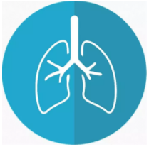 倾听你的“肺腑”之言——电子支气管镜检查